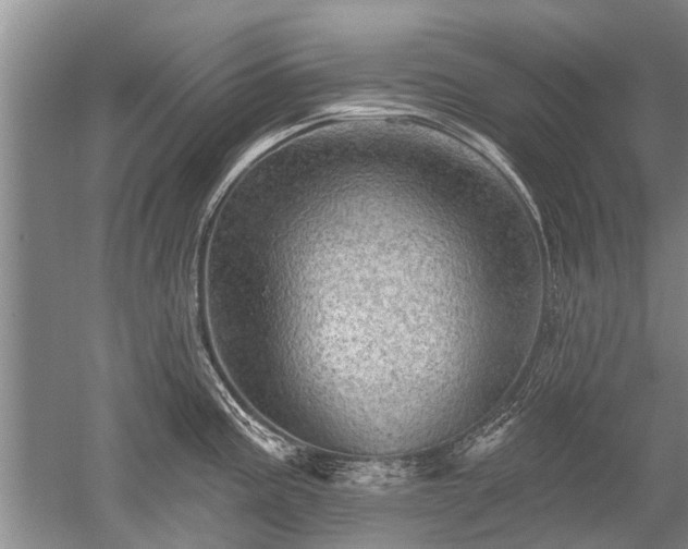 X0000052641195200507081957