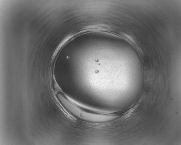 X0000052641196200507081957