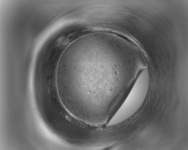 X0000052641199200507081957