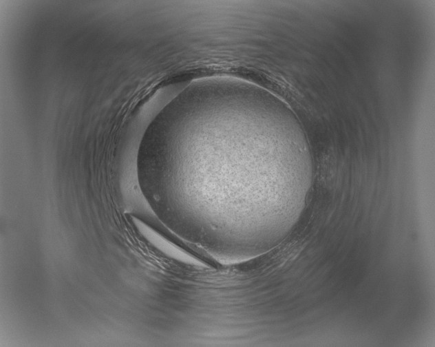 X0000052641201200507081956