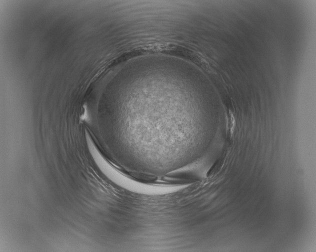 X0000052641202200507081956