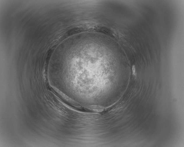 X0000052641203200507081956