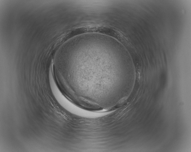 X0000052641204200507081956