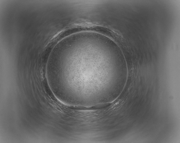 X0000052641205200507081956