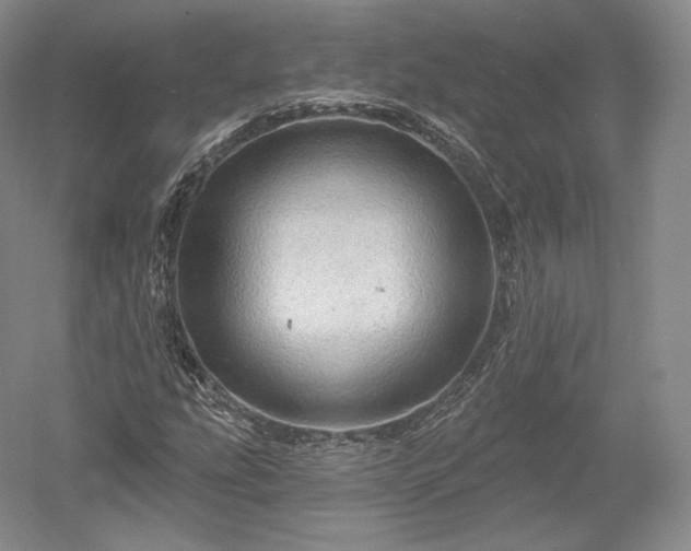 X0000052641207200507081956