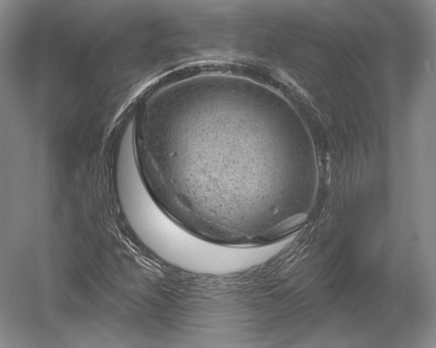 X0000052641208200507081956