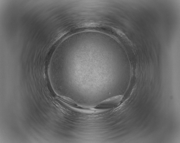 X0000052641209200507081956