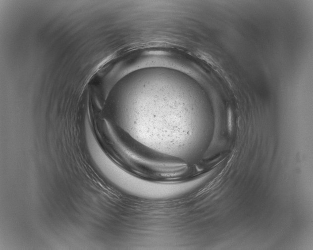 X0000052641210200507081956