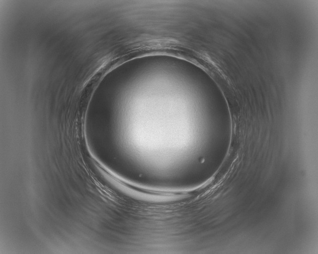 X0000052641211200507081956