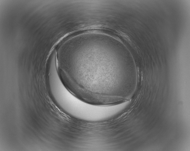 X0000052641212200507081957