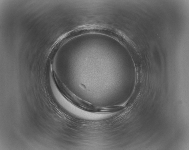 X0000052641213200507081957