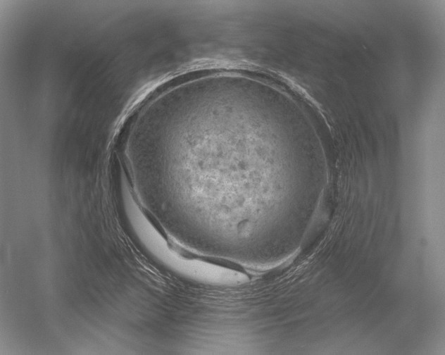 X0000052641215200507081957