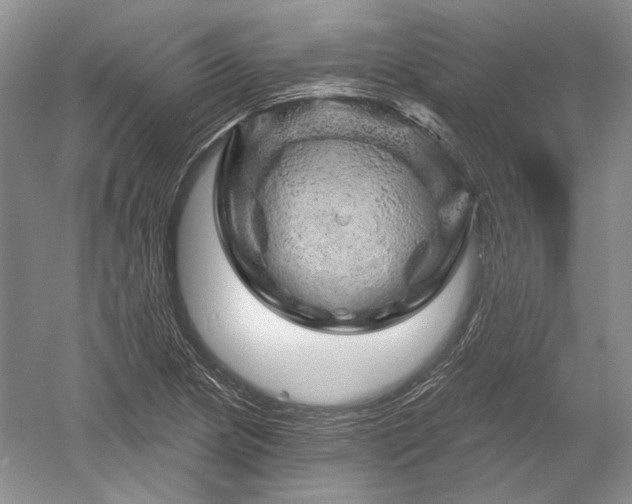 X0000052641217200507081957