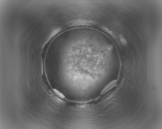 X0000052641219200507081957