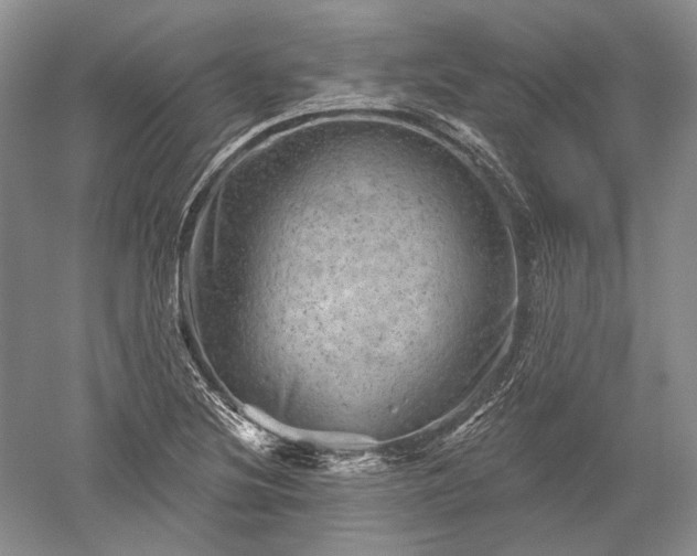 X0000052641220200507081957