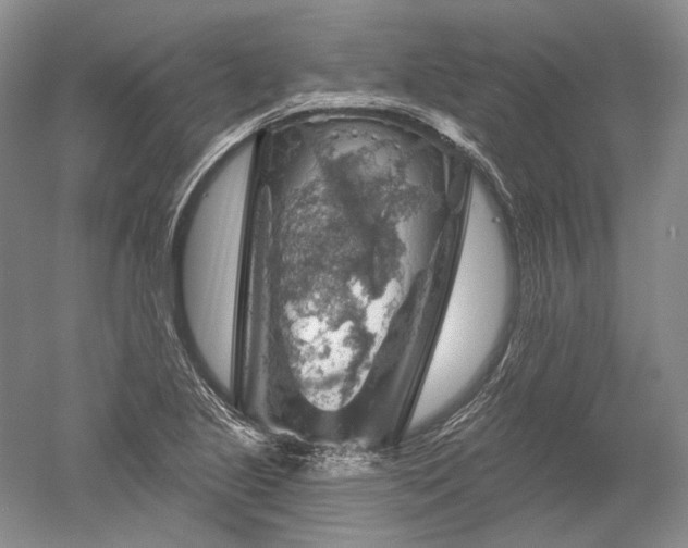 X0000052641221200507081957