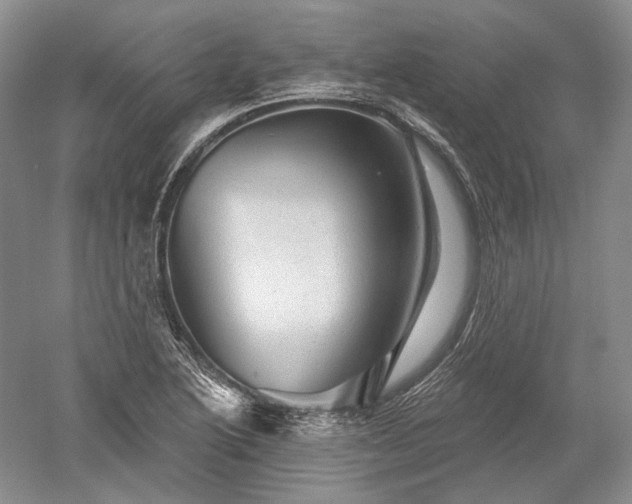 X0000052641222200507081957