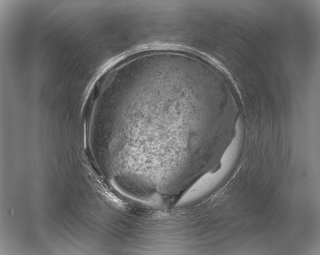 X0000052641223200507081957