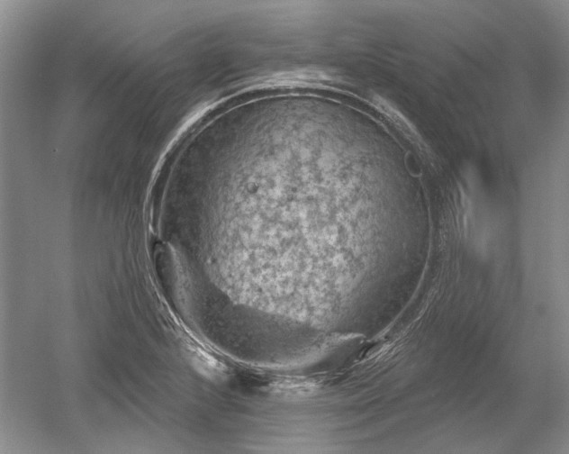 X0000052641224200507081957