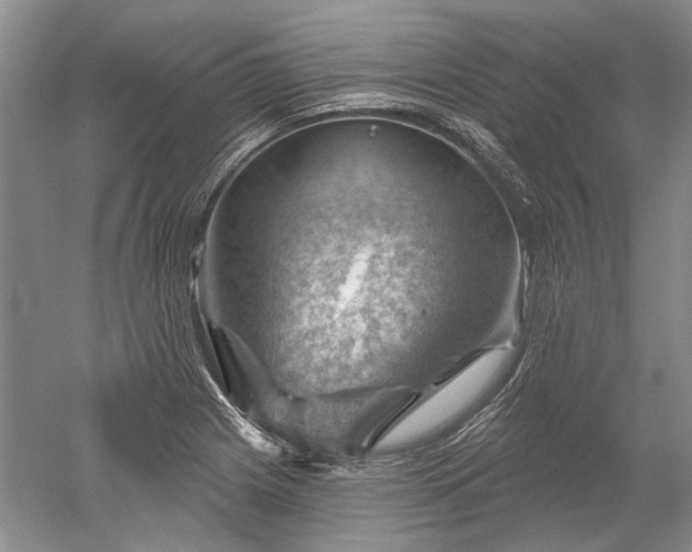 X0000052641225200507081957