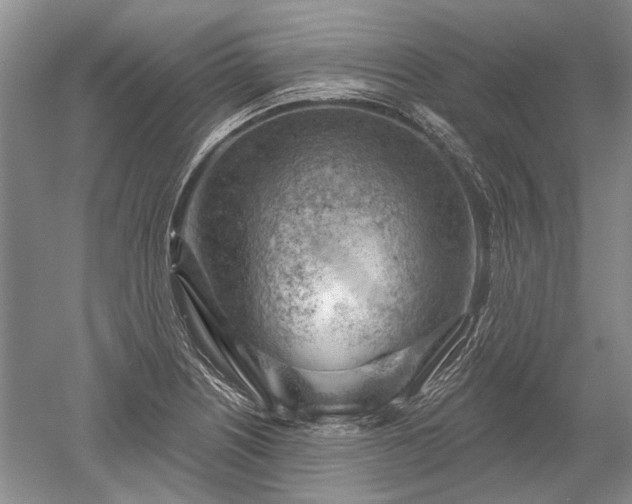 X0000052641226200507081957