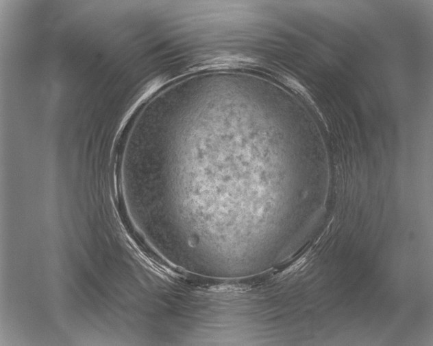 X0000052641227200507081957