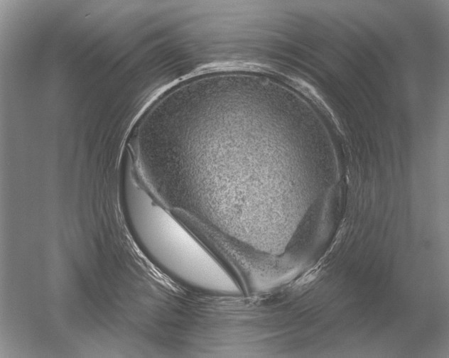 X0000052641228200507081957