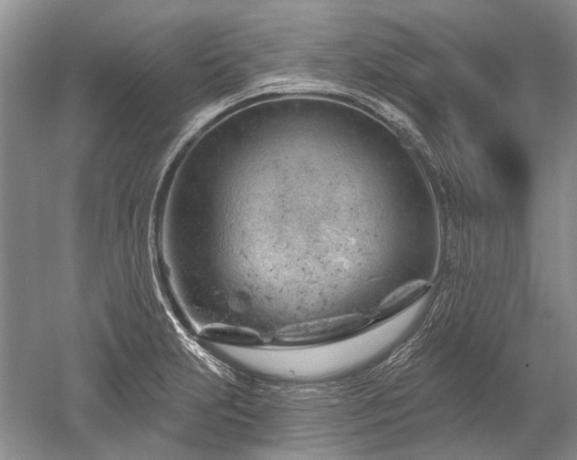 X0000052641231200507081957