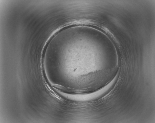 X0000052641232200507081957