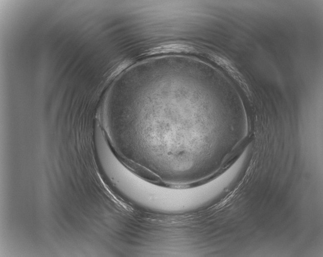 X0000052641233200507081957