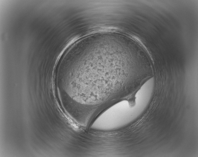 X0000052641235200507081957