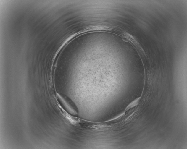 X0000052641236200507081957