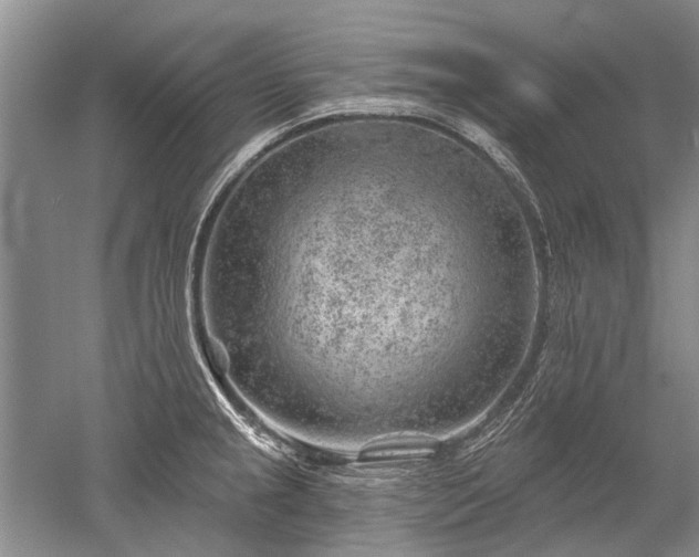 X0000052641237200507081957