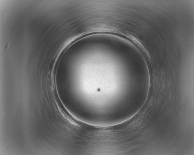 X0000052641238200507081957