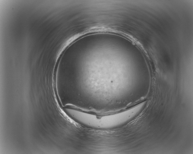 X0000052641239200507081957