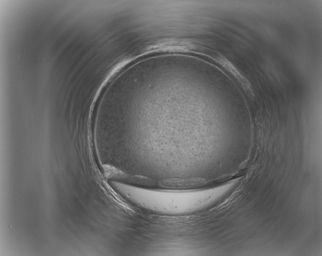 X0000052641240200507081957