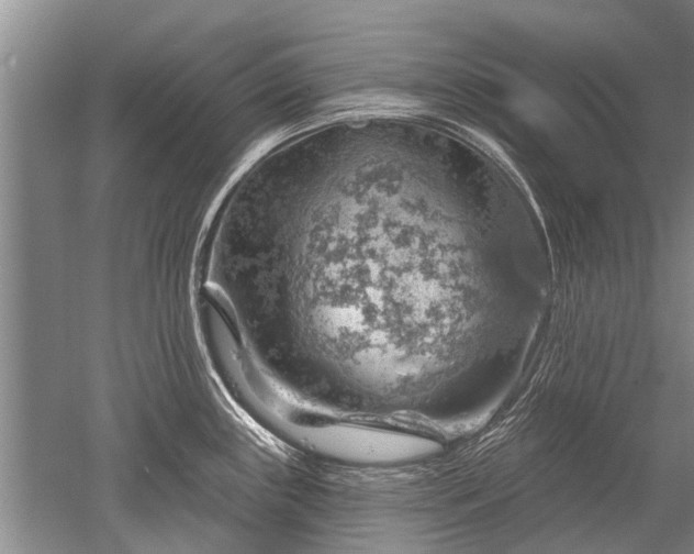 X0000052641243200507081957