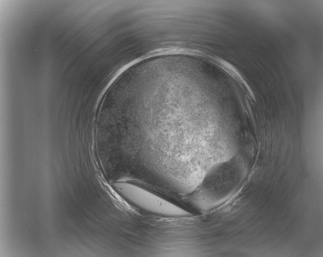 X0000052641244200507081957