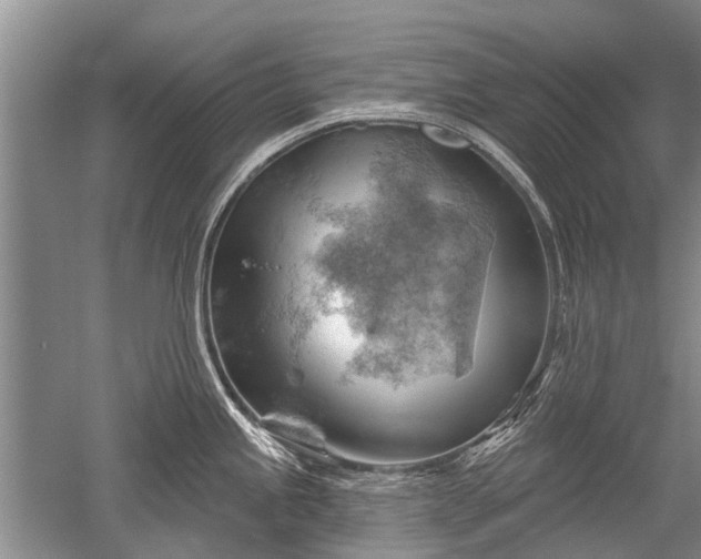 X0000052641245200507081957