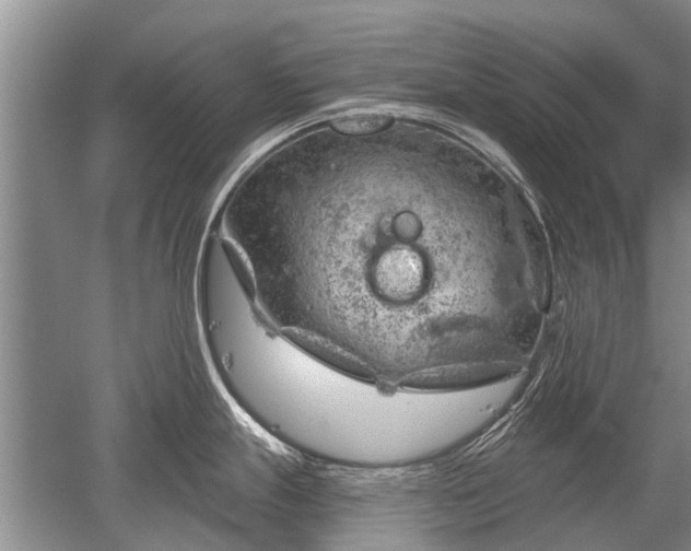 X0000052641247200507081957