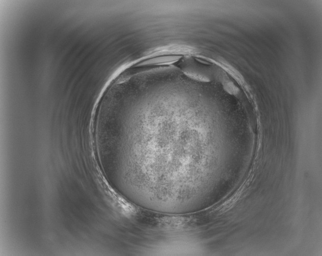 X0000052641248200507081957