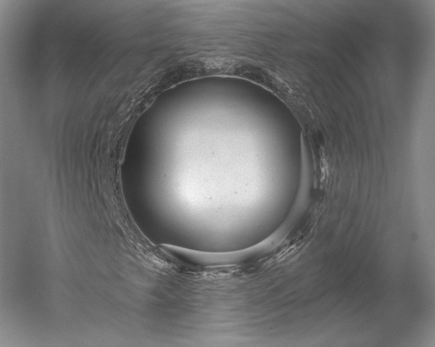 X0000052641249200507081956