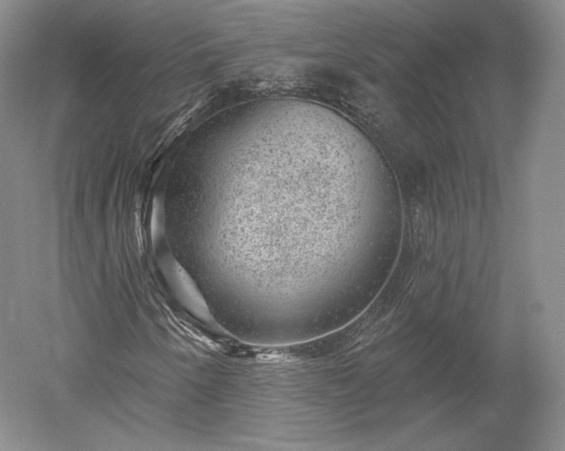 X0000052641250200507081956