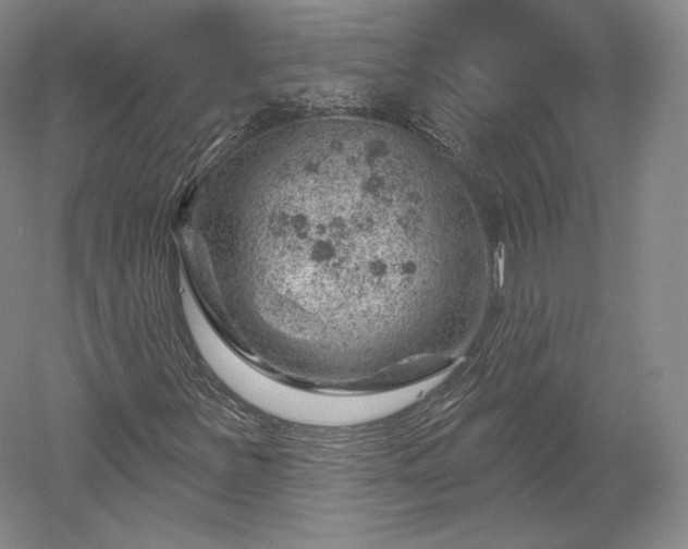 X0000052641251200507081956