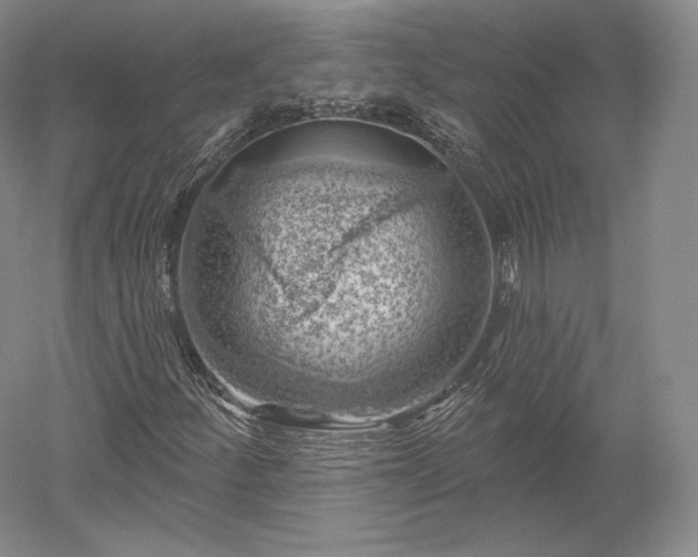 X0000052641252200507081956