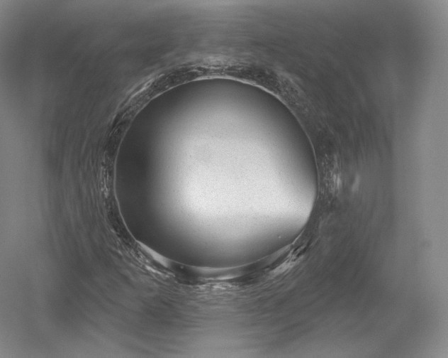 X0000052641253200507081956