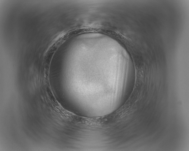 X0000052641254200507081956