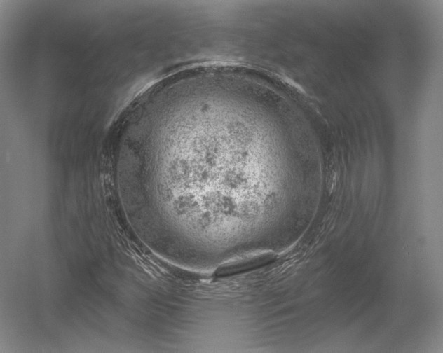 X0000052641255200507081956