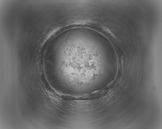 X0000052641256200507081956