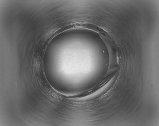 X0000052641257200507081956